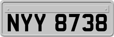 NYY8738
