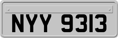 NYY9313