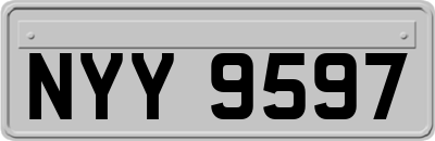 NYY9597