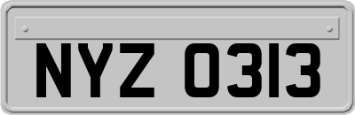 NYZ0313