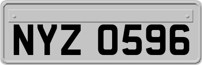 NYZ0596
