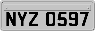 NYZ0597