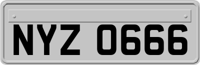 NYZ0666
