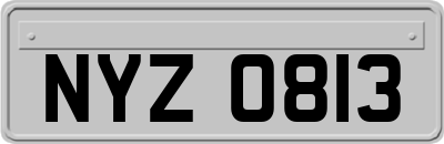 NYZ0813
