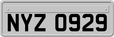 NYZ0929