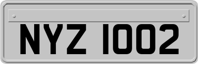 NYZ1002