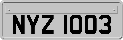 NYZ1003