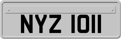 NYZ1011