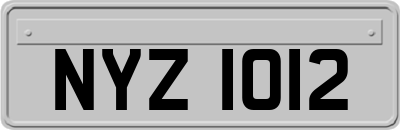 NYZ1012
