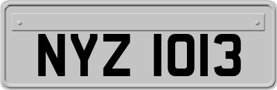 NYZ1013