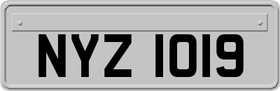 NYZ1019