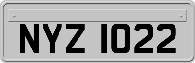 NYZ1022