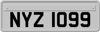 NYZ1099