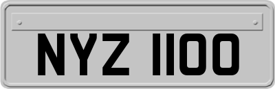 NYZ1100