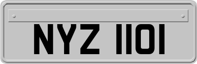 NYZ1101