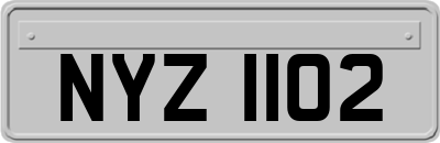 NYZ1102