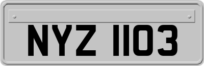 NYZ1103