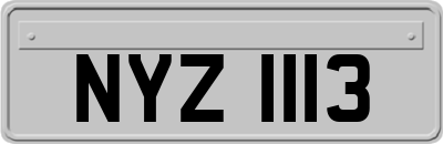 NYZ1113