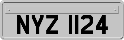 NYZ1124
