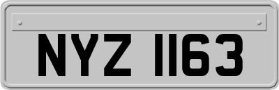 NYZ1163