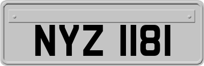 NYZ1181