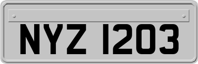 NYZ1203