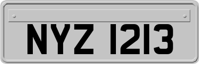 NYZ1213