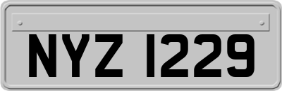 NYZ1229