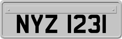 NYZ1231