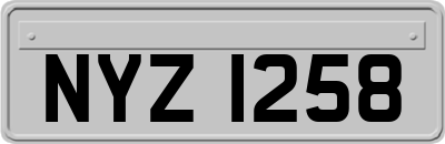 NYZ1258