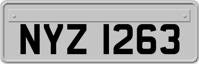 NYZ1263
