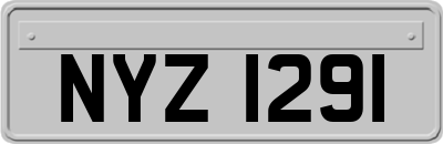 NYZ1291