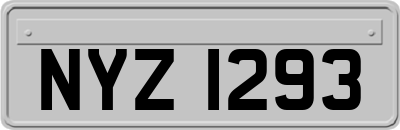 NYZ1293