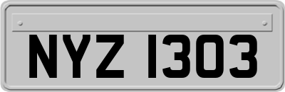 NYZ1303