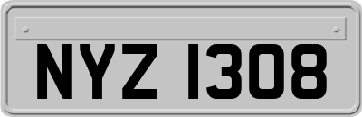 NYZ1308