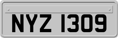 NYZ1309