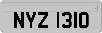 NYZ1310