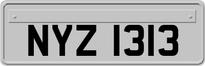 NYZ1313