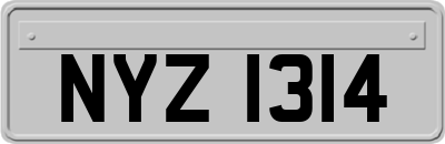 NYZ1314