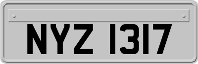 NYZ1317