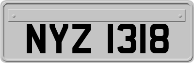 NYZ1318