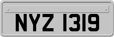 NYZ1319