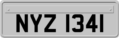 NYZ1341