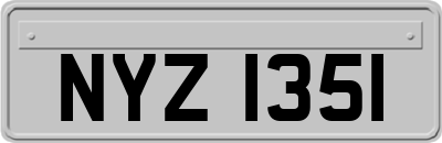 NYZ1351