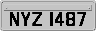 NYZ1487