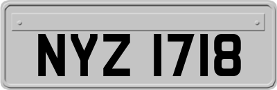 NYZ1718