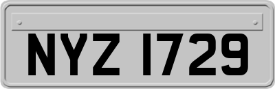 NYZ1729