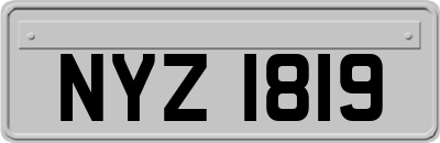 NYZ1819