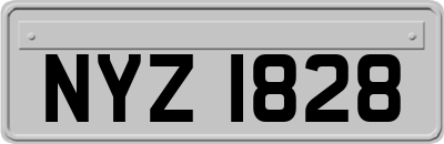 NYZ1828