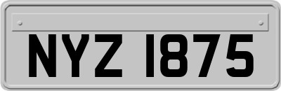 NYZ1875